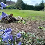 Des Arts - Danse Dans Le Perche