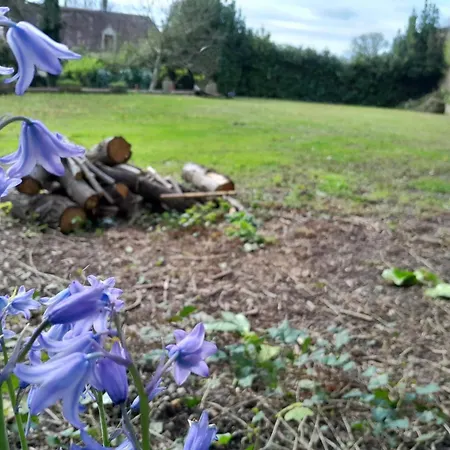 Danse Dans Le Perche