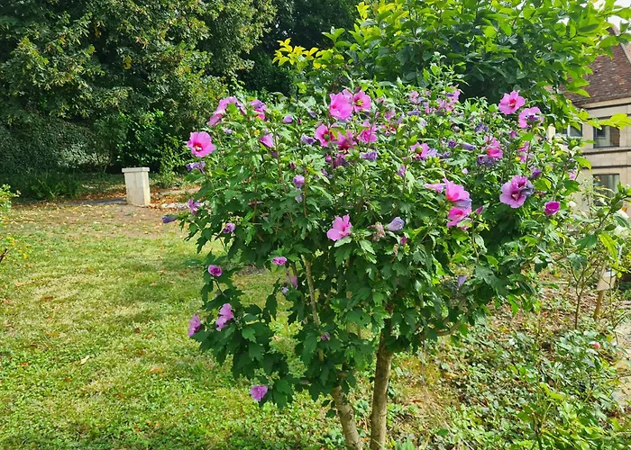 Des Arts - Danse Dans Le Perche * Remalard