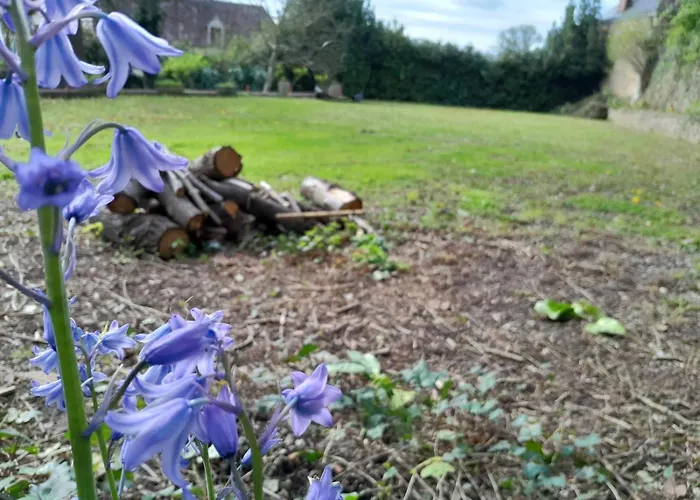 Des Arts - Danse Dans Le Perche