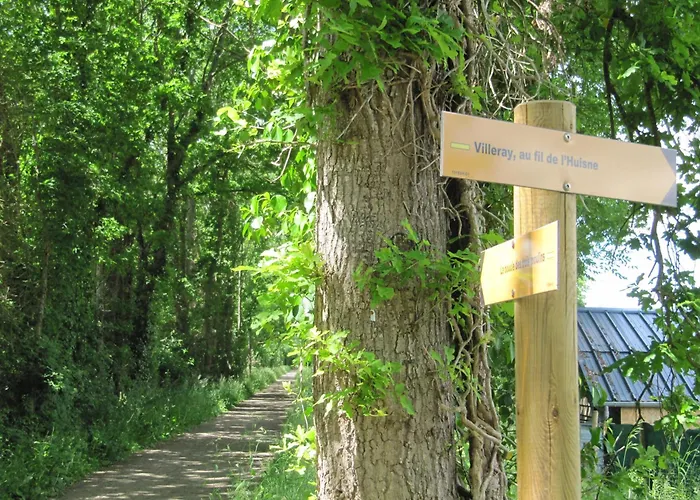 Des Arts - Danse Dans Le Perche